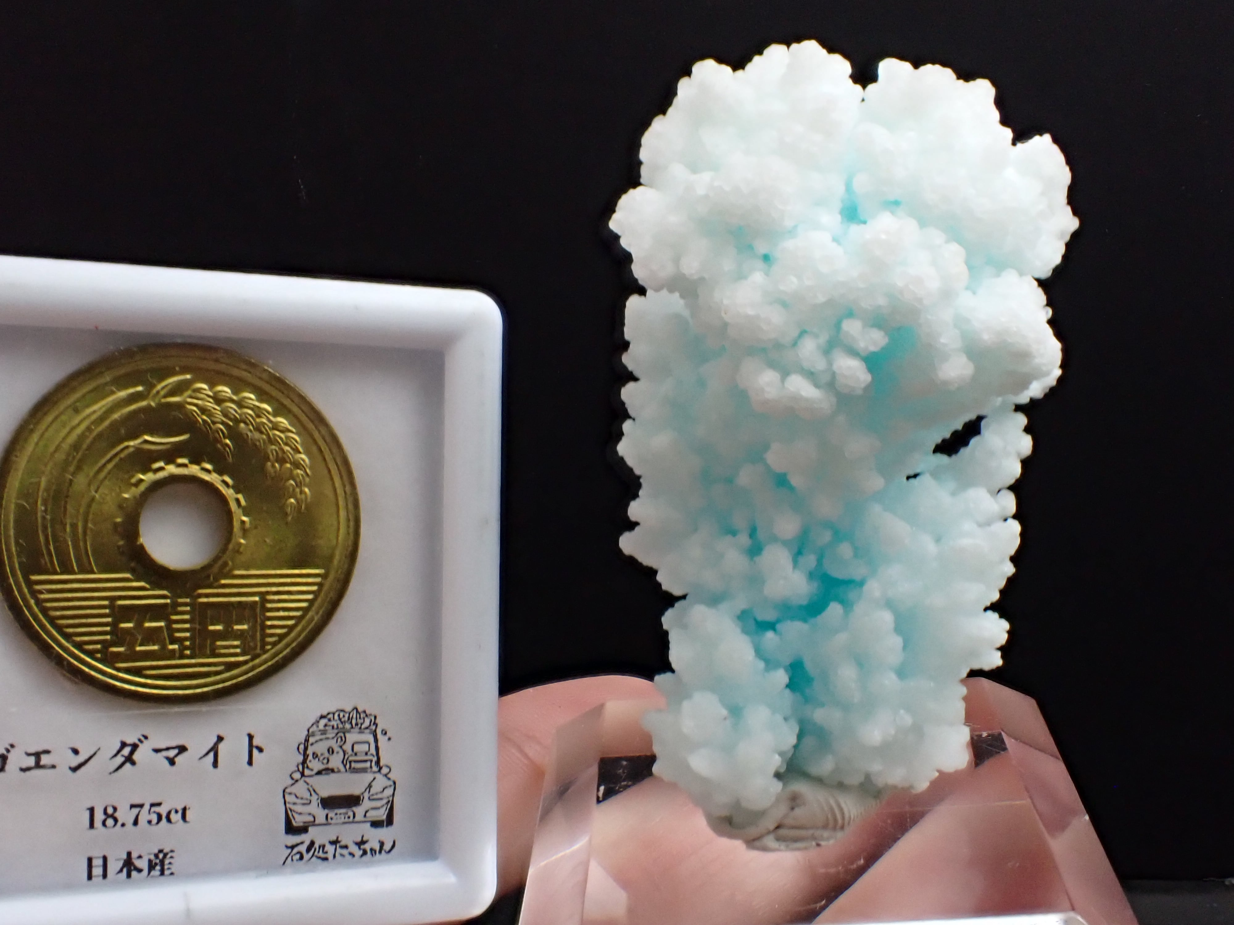 雪結晶】造形美 アラゴナイト 霰石 原石 標本 鉱物 | 石処たっちゃん