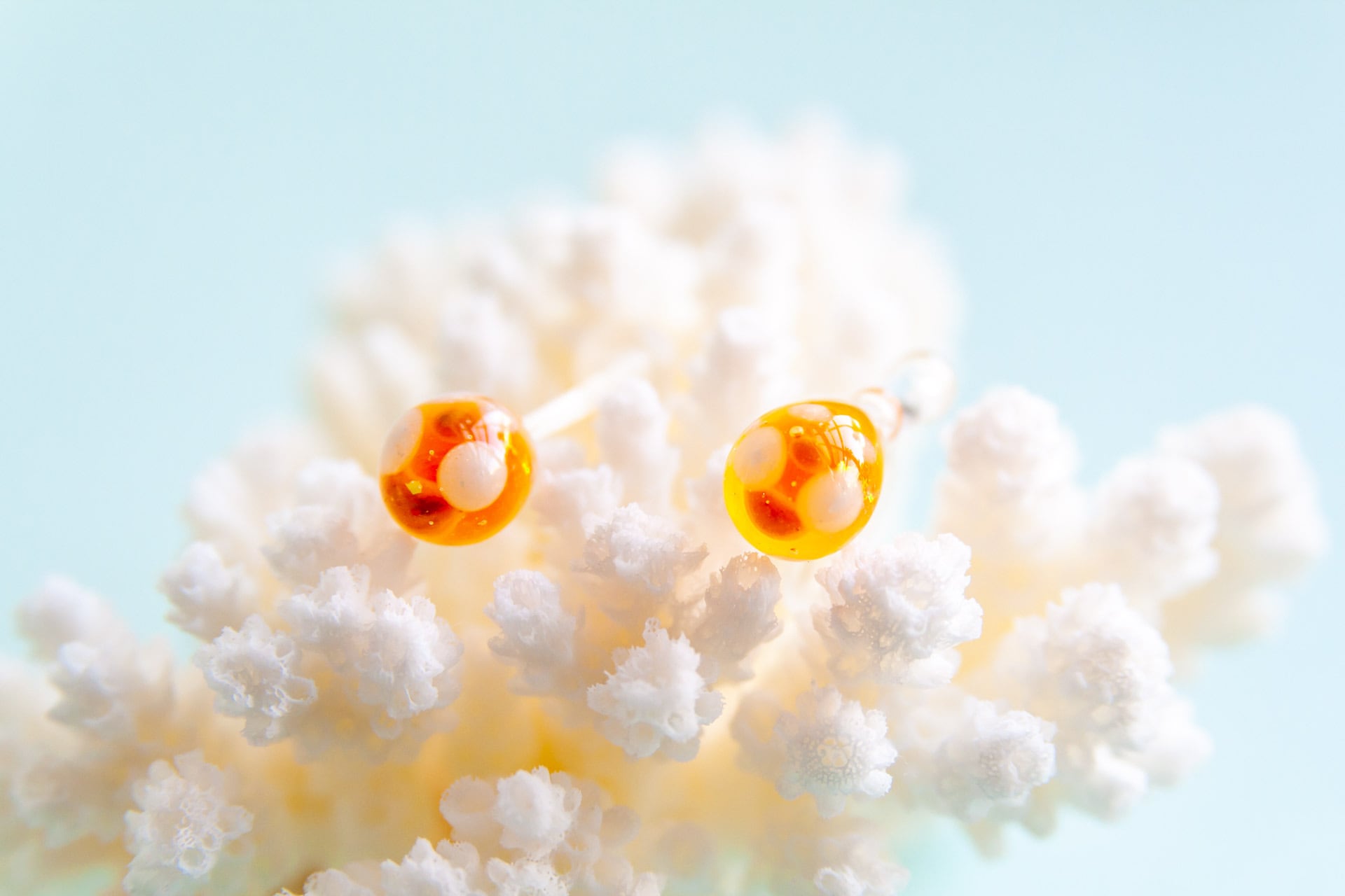 ウルトラマンホヤ(ひとつぶ)