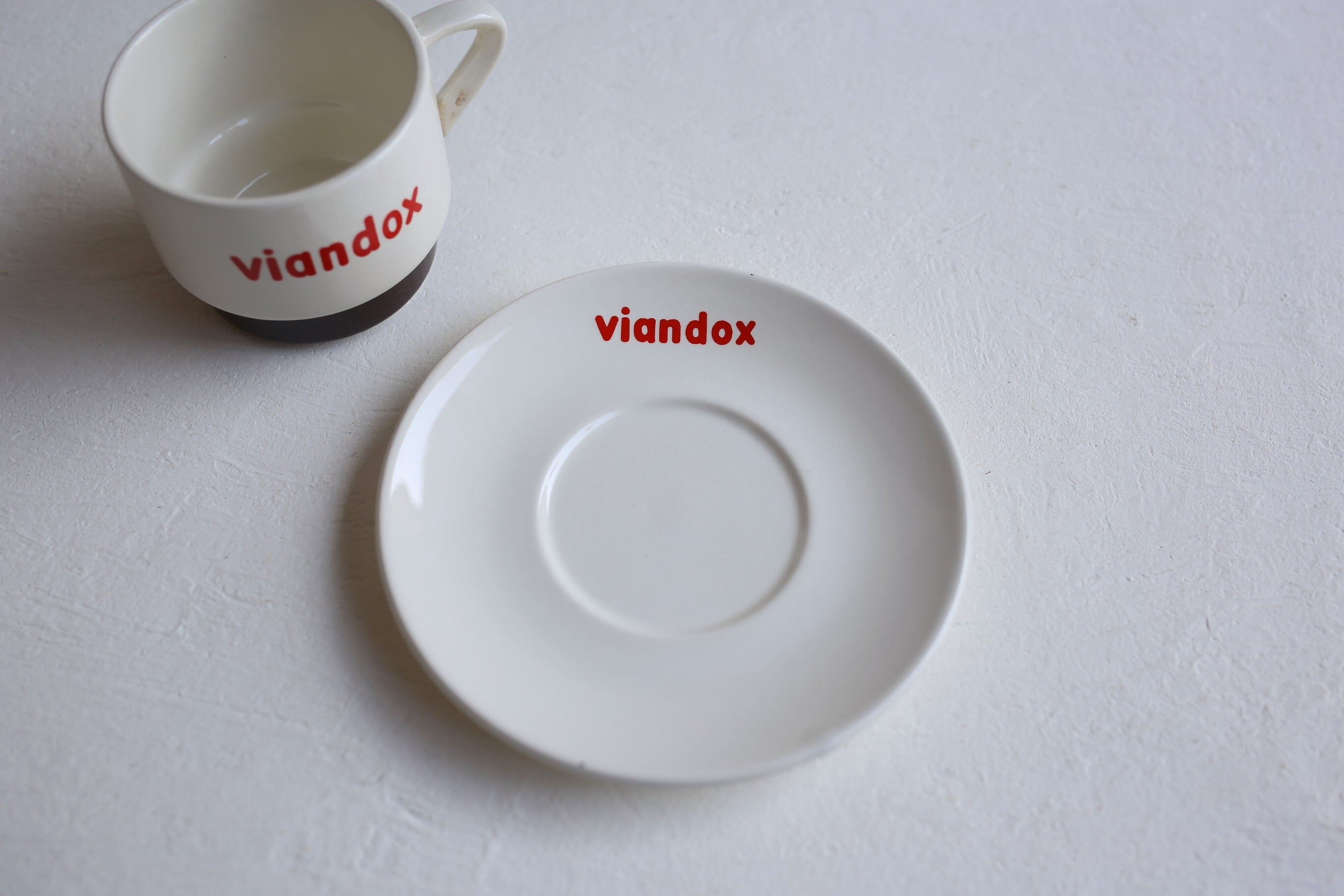 フランス アンティーク ヴィンテージ 『VIANDOX』 カップ＆ソーサー N