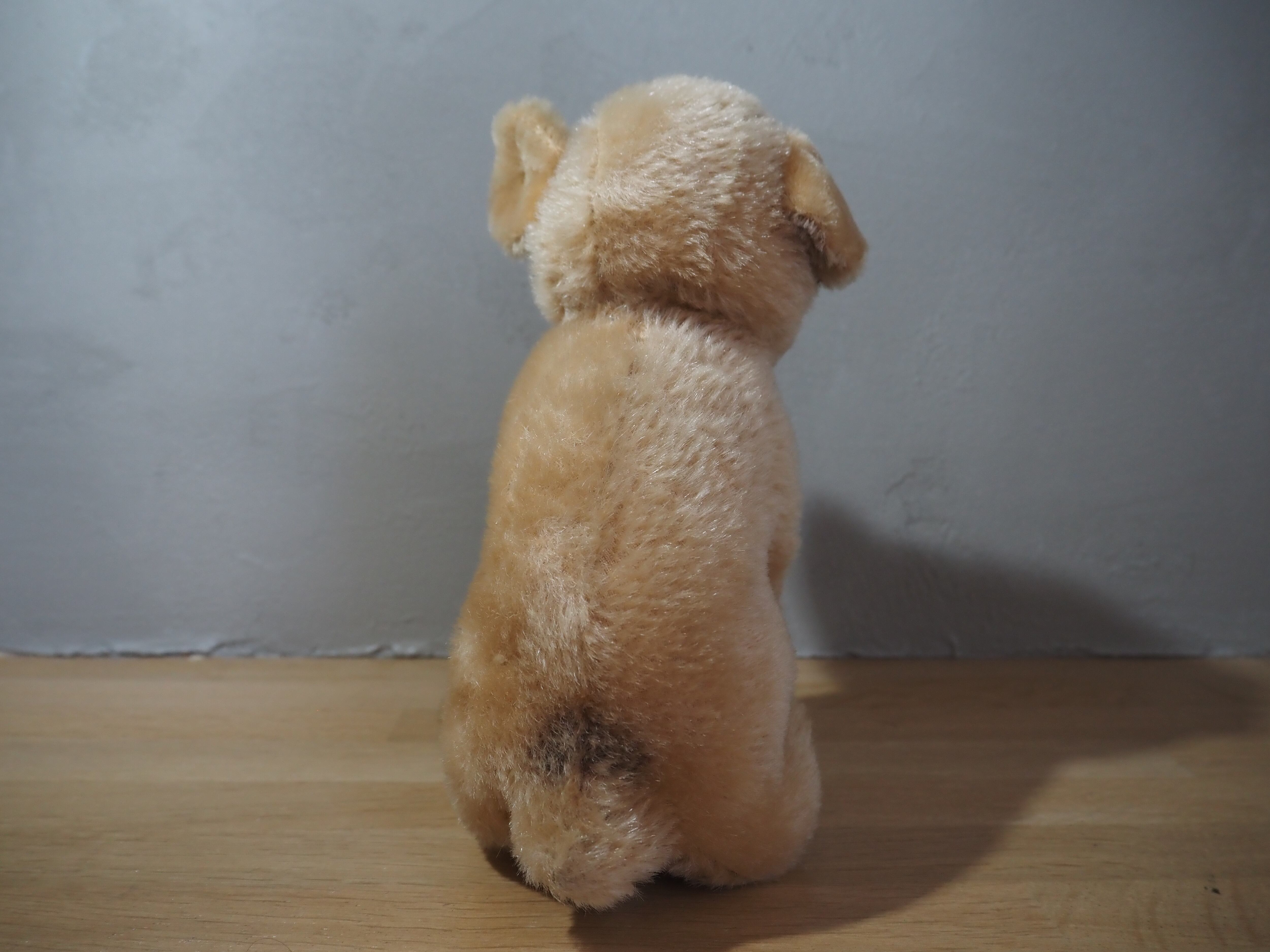 オールド シュタイフ パグ Steiff Mopsy 22cm | ヒガシマチマーケット