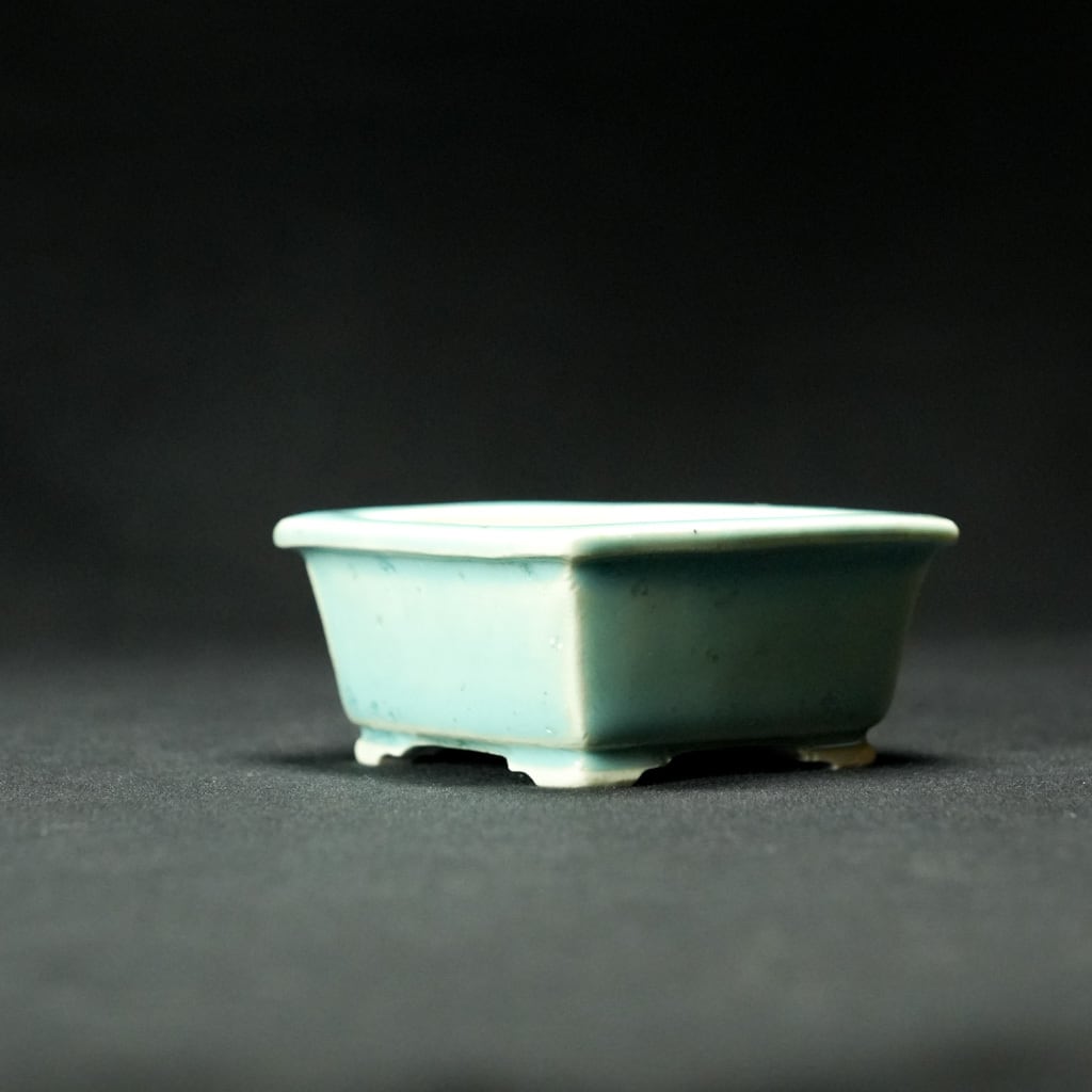 龍正   鉢 志水鉢 正方【盆栽Q5周年記念】 | bonsaiQ store