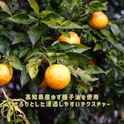 ゆずヘアオイルセラム・Yuzu Hair Oil Serum
