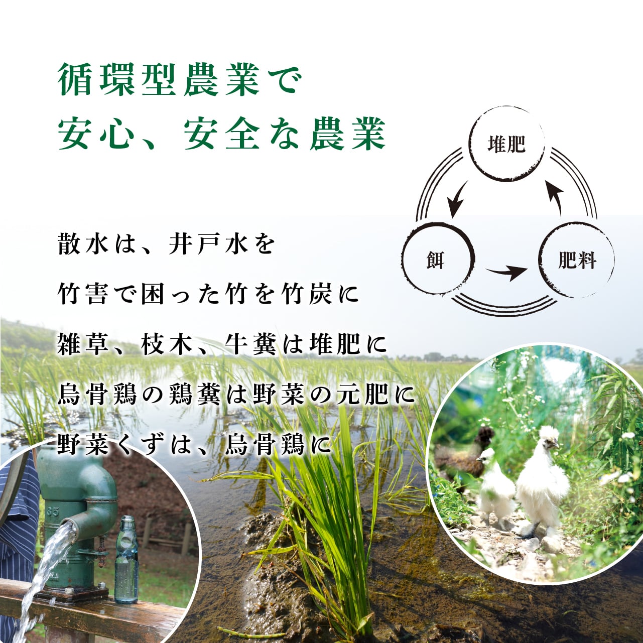 コシヒカリ 令和6年産 新米 10kg 兵庫県 但馬産 5kg×2袋 食味 特