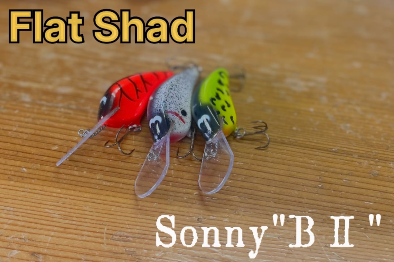 フラットシャッド リトルB 2025年モデル | Koy'sTackleBox