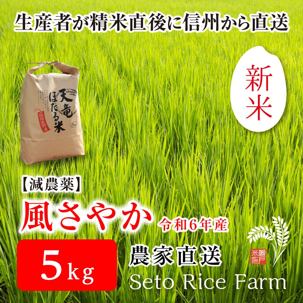 R6新米 信州のブランド米「風さやか」 5kg あっさりとした食感 R6新米 信州のブランド米「風さやか」 5kg あっさりとした食感