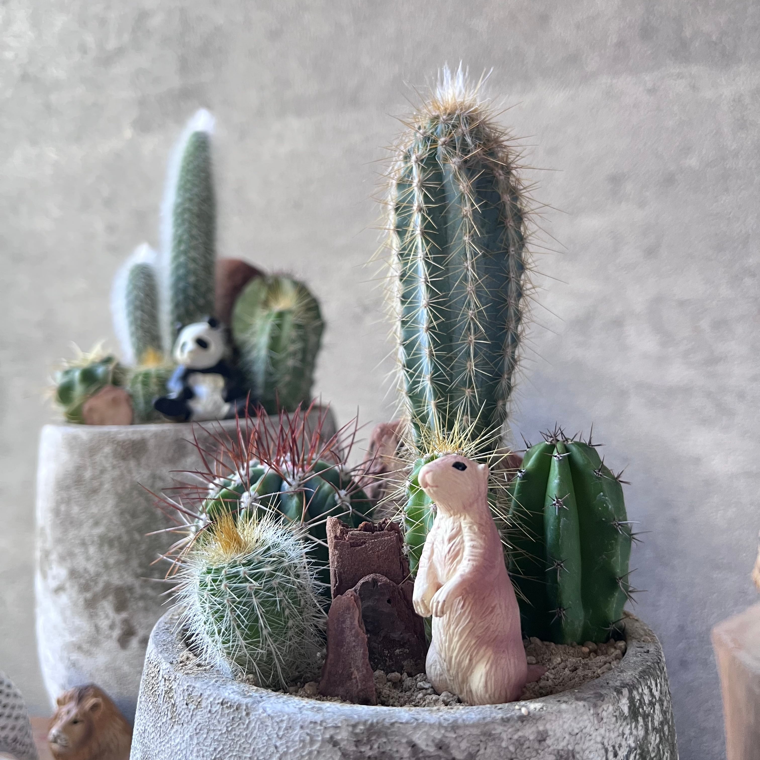 ☆送料無料☆イージーオーダー【Ssize Type.B】 選べる1匹 | SABOTEN