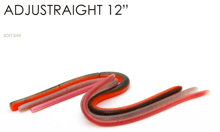 RAIDJAPAN)ADJUSTRAIGHT12"FAT