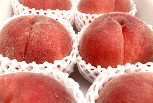 果物 | 生鮮市場イマイ