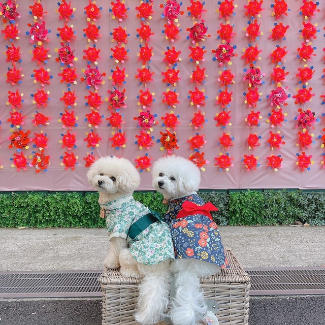 【予約】浴衣風ワンピース