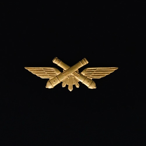 Wings & battons emblem brooch