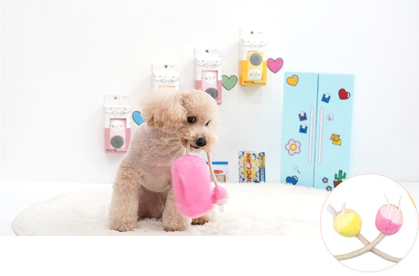 multi-tap toy / ペット 犬 おもちゃ 知育玩具 ノーズワーク おやつ隠し 可愛い わんちゃん おもちゃ  ストレス解消