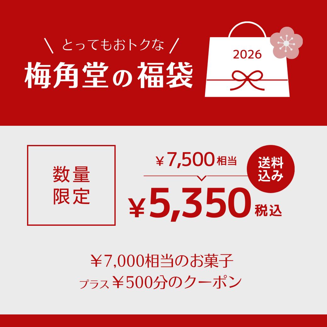 【送料込】2026年福袋（7,500円相当）