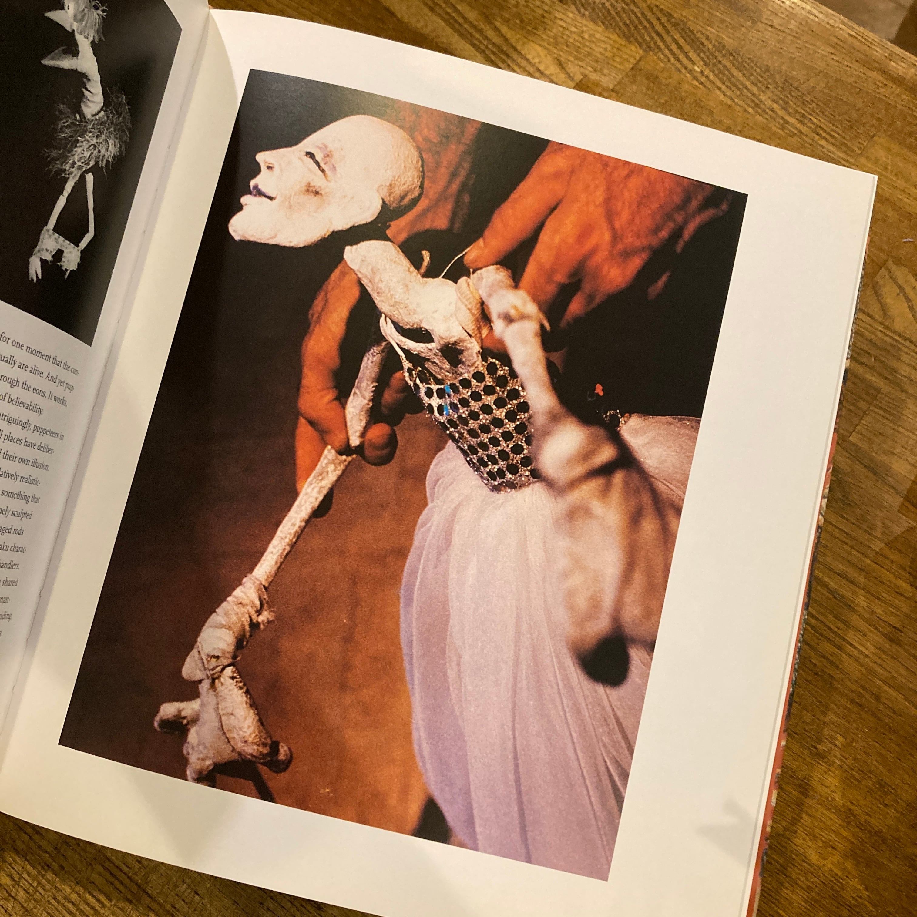 PUPPETRY: A World History / Eileen Blumenthal | 百年