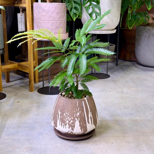 エバーフレッシュ