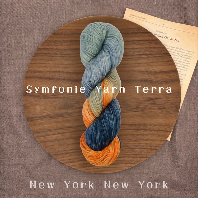 Symfonie Yarn 「Terra」- Newyork Newyork- 手染めソックヤーン 中細 100g 400m 靴下編み 毛糸 ニットプロ