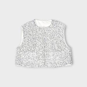 gypsophila【Sucre Gilet】