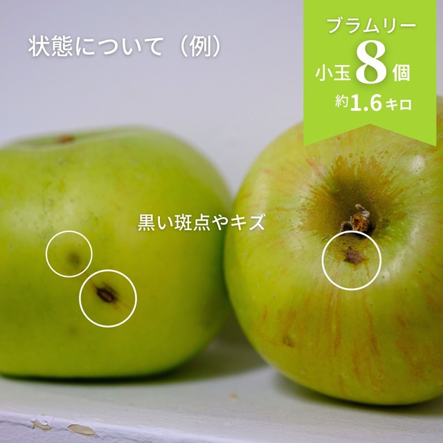 【すっぱいりんご】国産ブラムリー8個（加工向き）約1.6キロ【発送日選択】クール便送料込