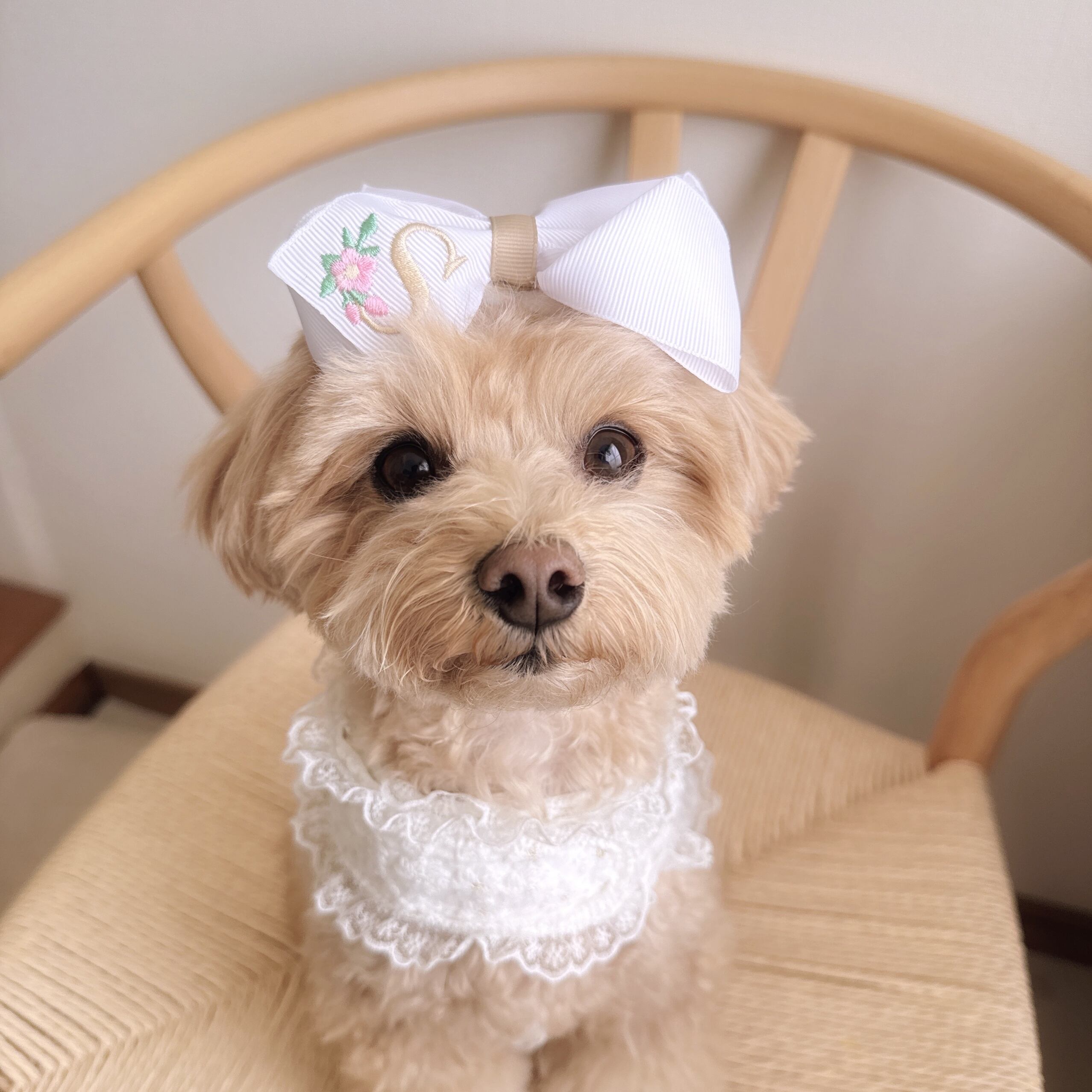 イニシャル大きなおリボン(後ろ支え付き)