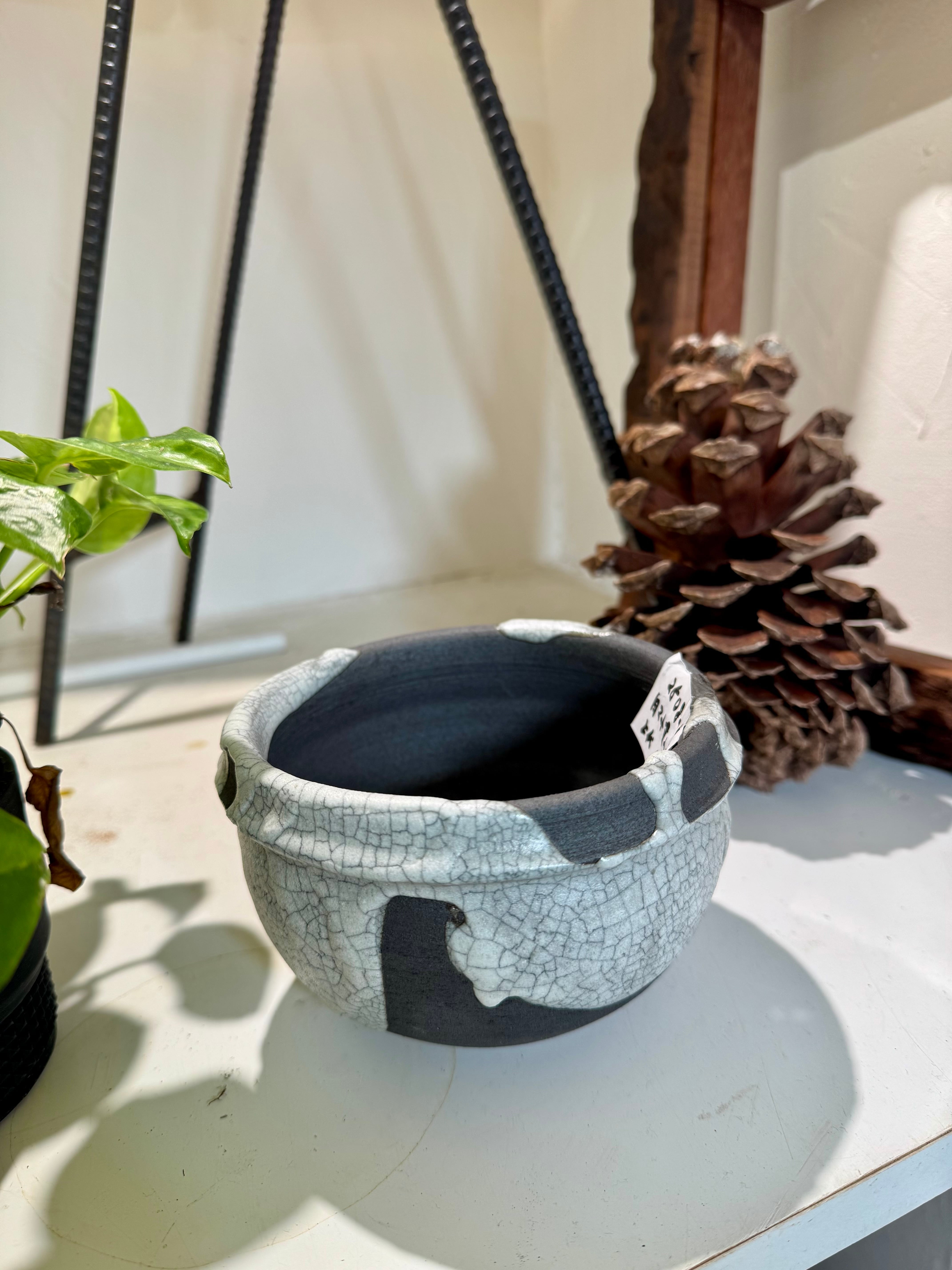 信楽焼き　変わり鉢 初登場】③信楽焼の陶器鉢！かみ山陶器の厳選植木鉢（白マット貫入り丸
