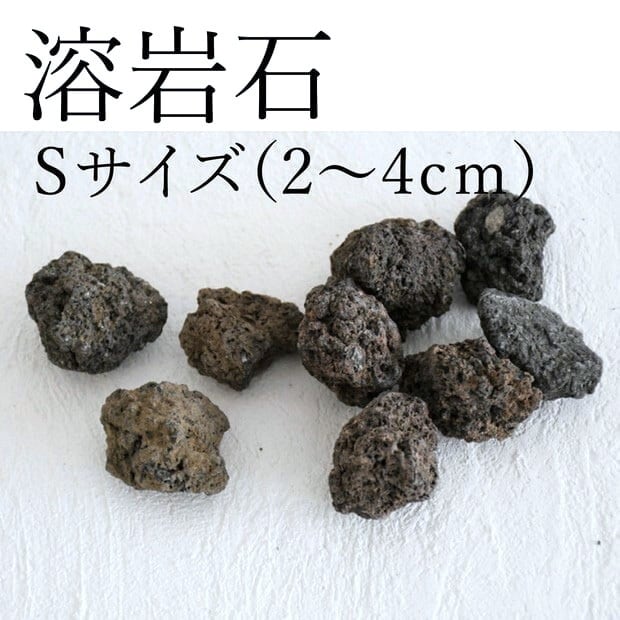 溶岩石 Sサイズ（2〜4㎝）5〜8個入り【レイアウト用・着生用】 | 苔