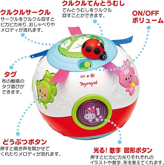 トイローヤル おいかけてコロコロボール ( 知育玩具 / 指先遊び