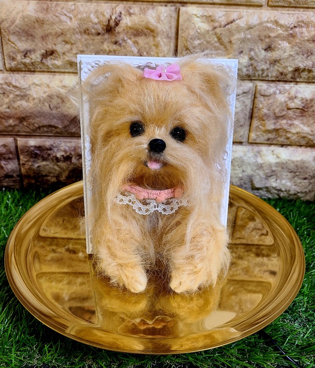 ♡うちのコシリーズ♡ 羊毛フェルト オーダー品 （送料着払い 