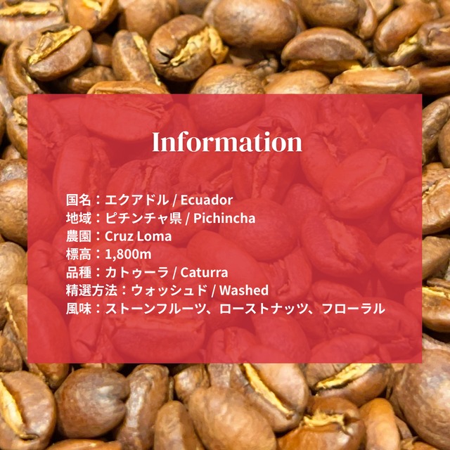 【エクアドル】 Cruz Loma Caturra │Light roast-100g