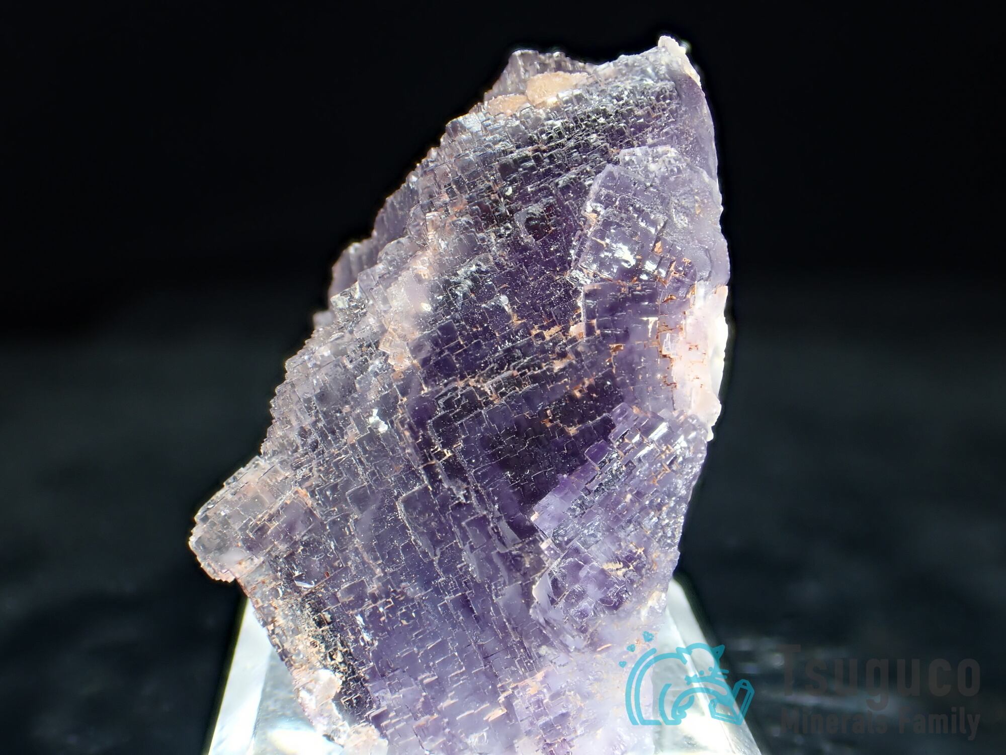 フローライト 蛍石 スペイン TM-647 Ex. Eugeni Bareche Collection