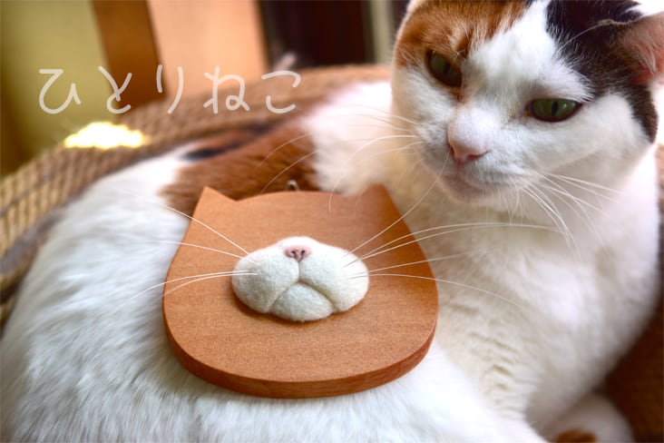 ねこひげあつめ】A【訳アリ】 | ネコノ森