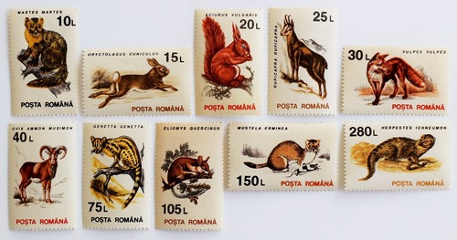 動物たち / ルーマニア 1993
