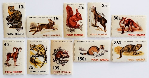 動物たち / ルーマニア 1993