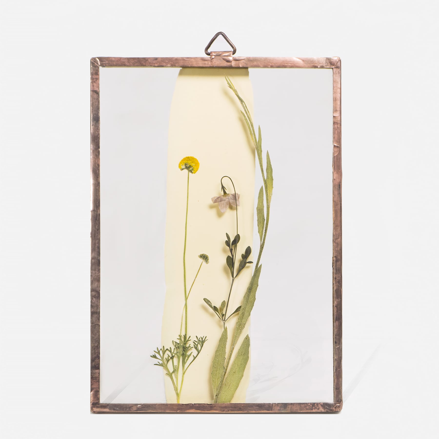 Botanical Frame S029 - Copper