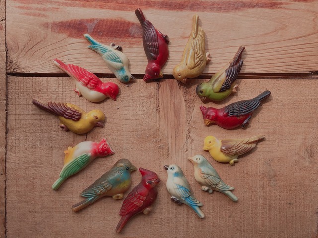 AMERICA 1960s Vintage bird magnets C