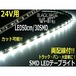 24Vトラック用/防水・両配線SMDLEDテープライト/50cm・30連球/白色ホワイト