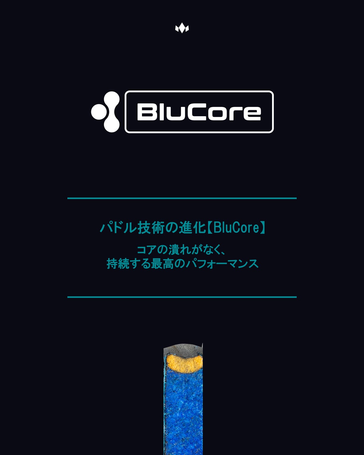 DIADEM WARRIOR BLUCORE PRO 14mm ピックルボールパドル | SANNO