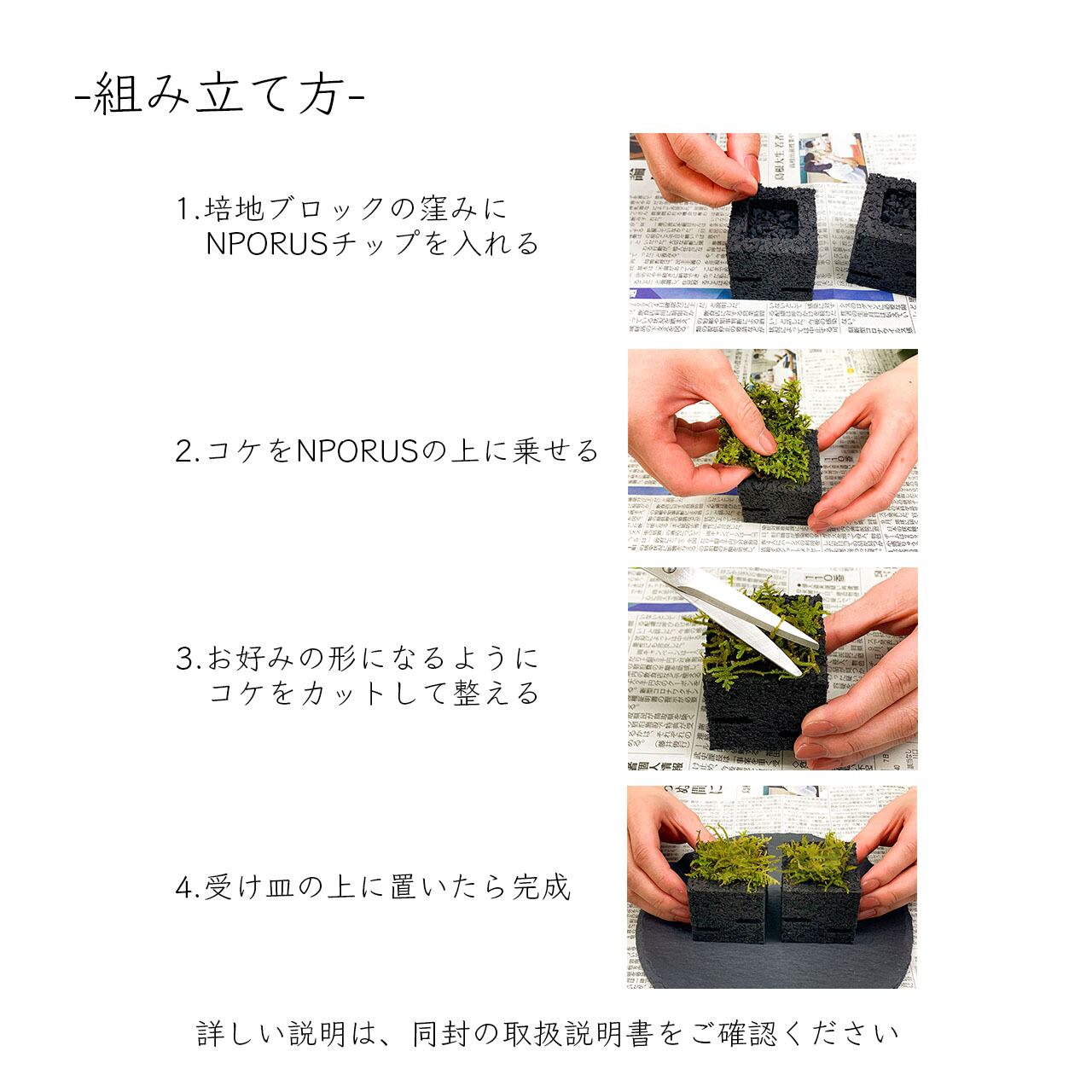 苔インテリア（NPORUS） | plus to u