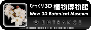 バリューステッカー「植物博物館」 - 150x50mm  - Wow 3D Museum Entrance