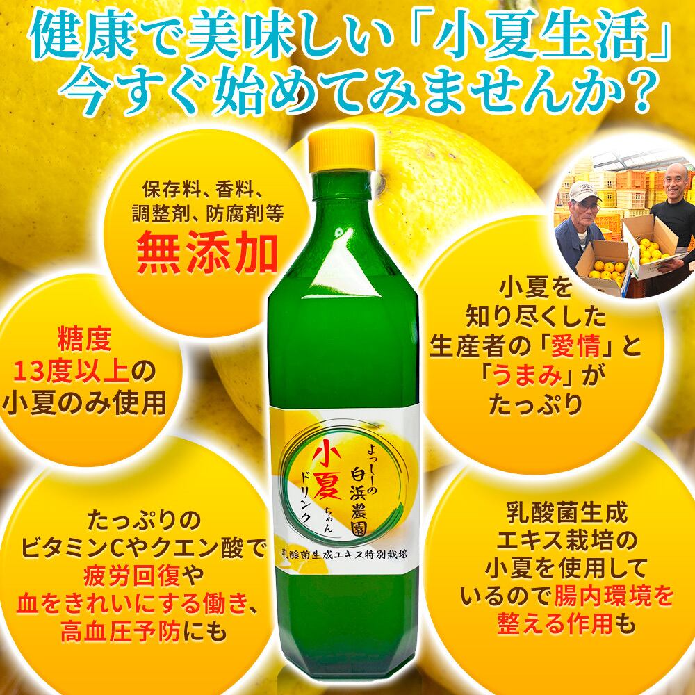 ドリンク×2本 白浜農園 小夏ドリンク 2本セット 小夏ドリンク 2本セット | Pay ID