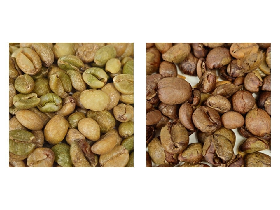 リベリカコーヒー100g リベリカコーヒー100g 食品・飲料・酒 #スペシャルティ