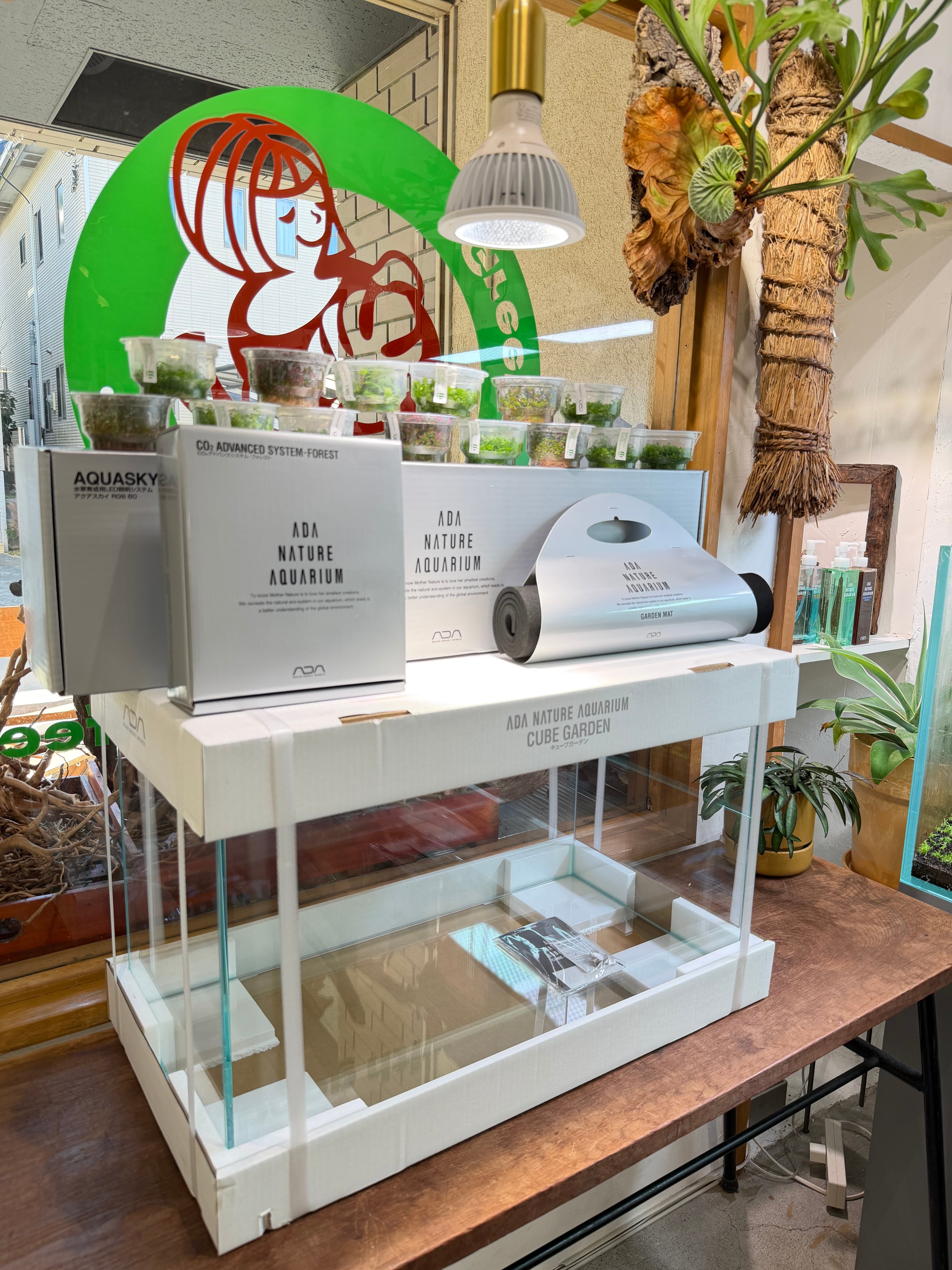 W600D300H250水槽ロータイプ】ADAアクアデザインアマノ キューブ