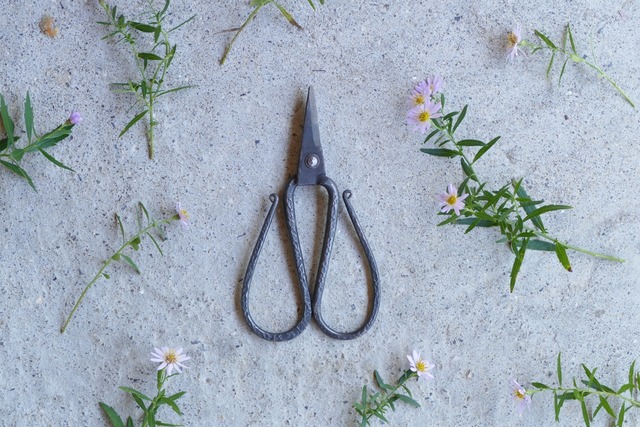 TAjiKA iron FLOWER SHEARS