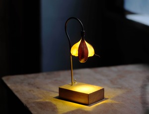 [The FINAL EXHIBITION] 森の小さな灯 no.12 ワタモドキ