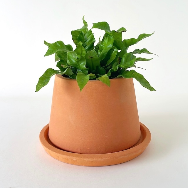 Terracotta plant pot FARM "HELLE14" 鉢カバー 底穴あり