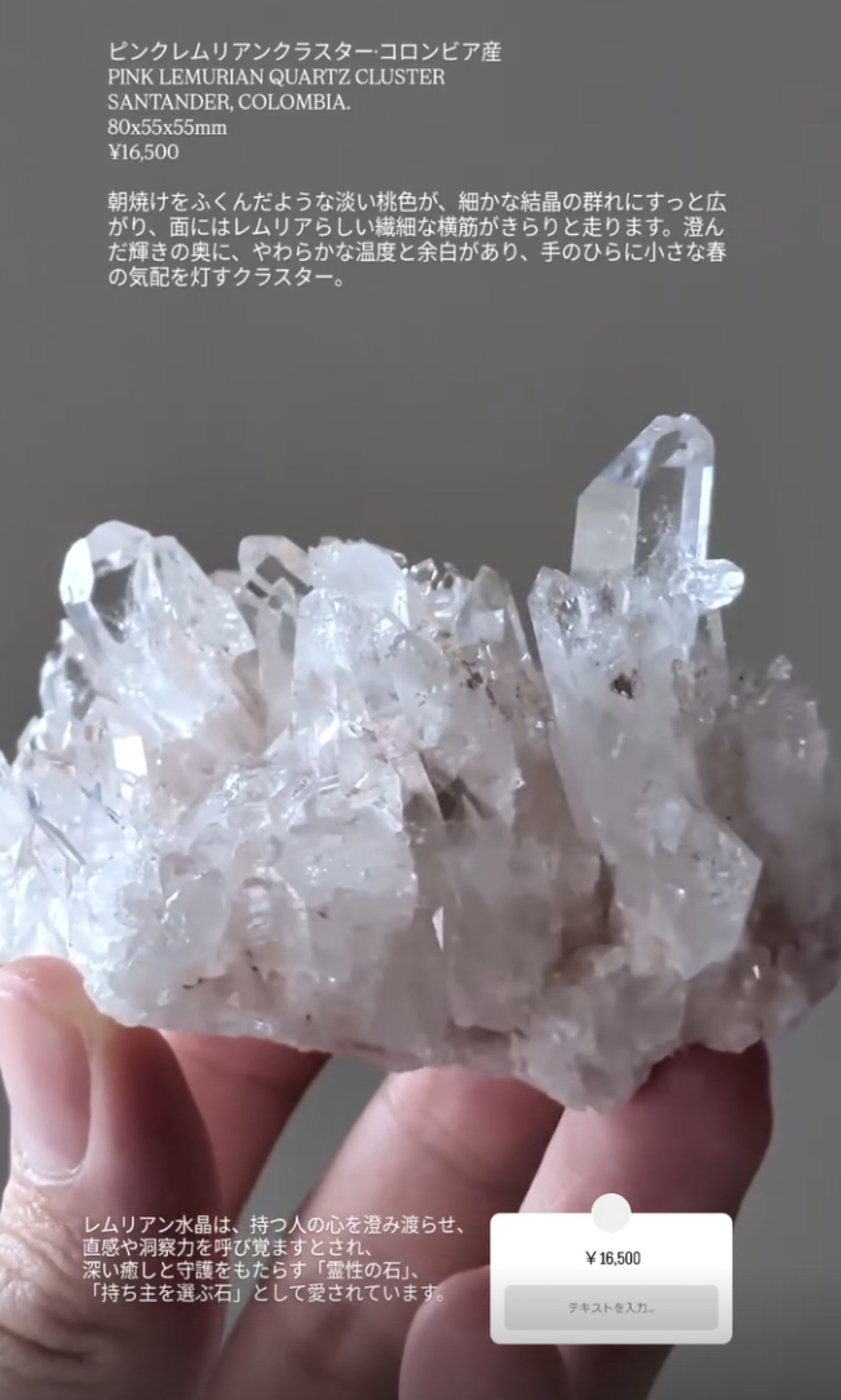 ⭔ お客様専用ページ ⭔ macco._.1111様　