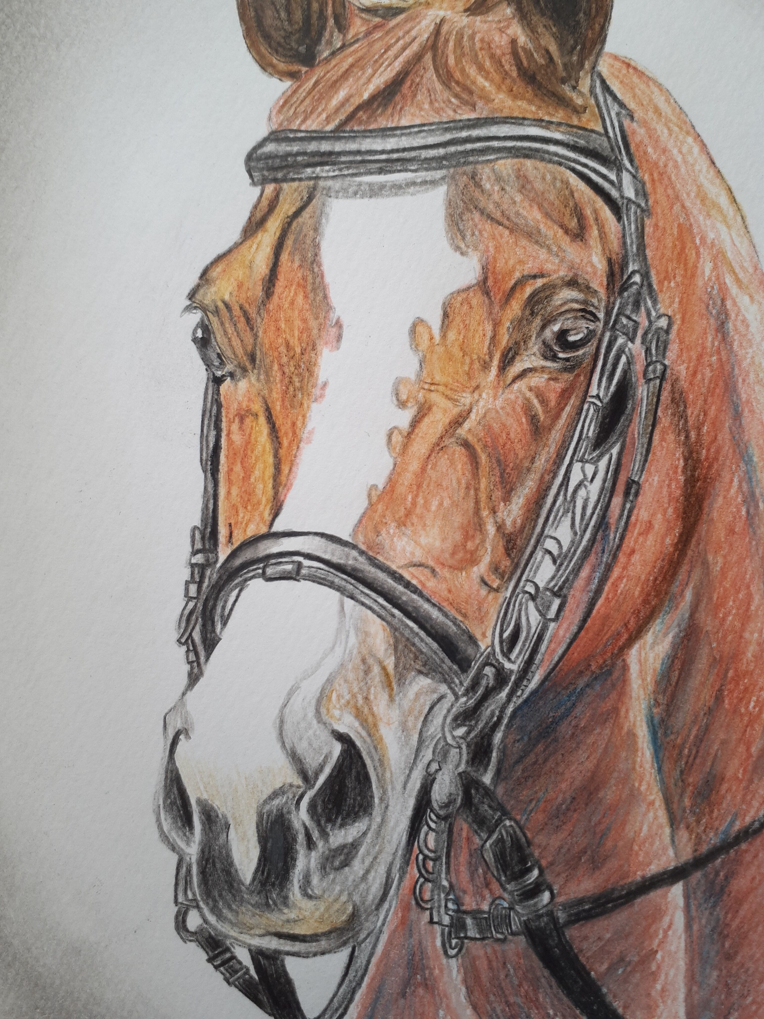 e17ed2f0f8ba09996522ebca750684