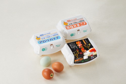 奈良養鶏園　たまご3種類食べ比べセット
