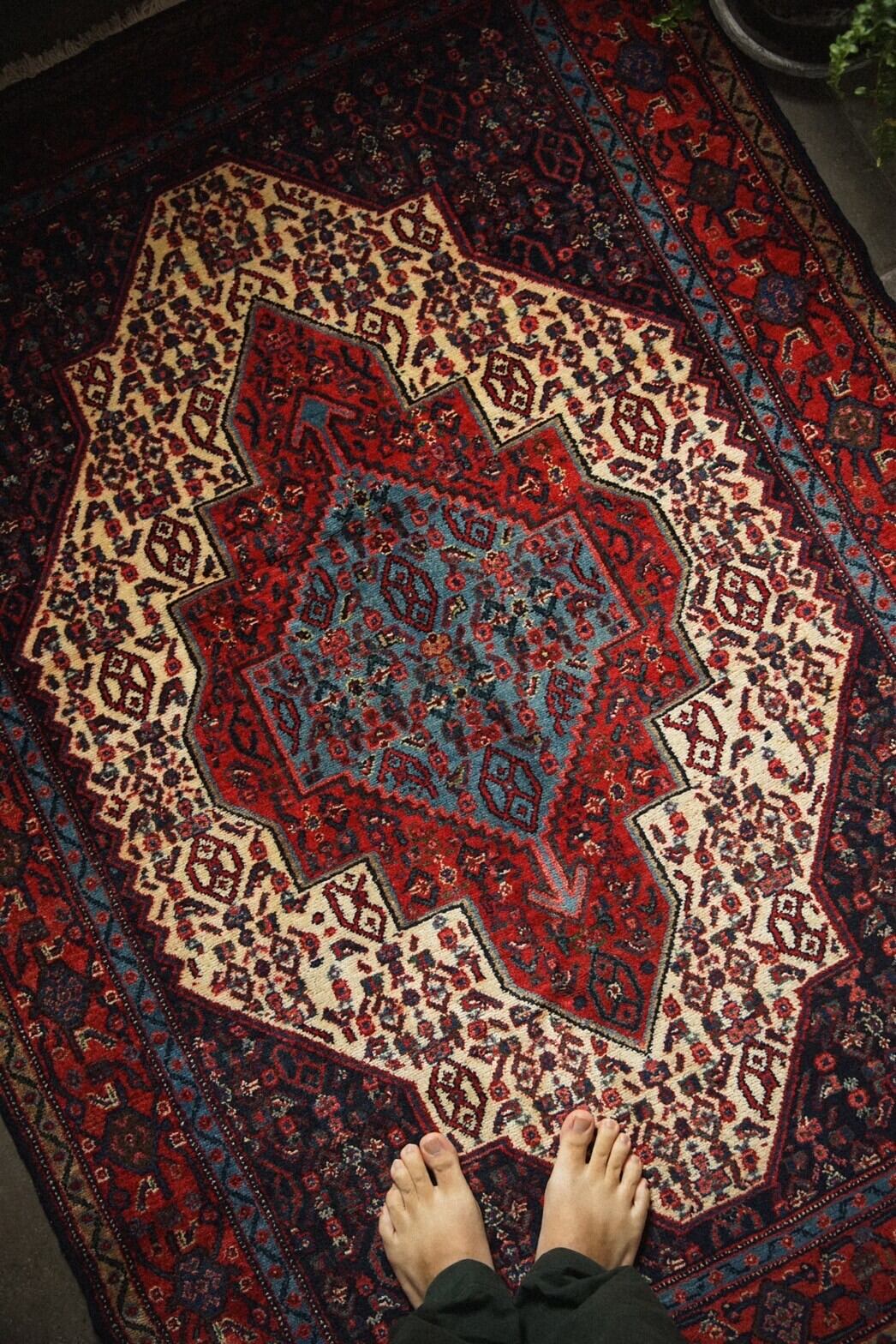 1013 -VIntage Percian Sene rug