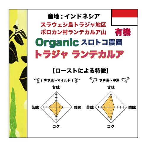200g】Organic インドネシア トラジャ ランテカルア | コーヒーロース