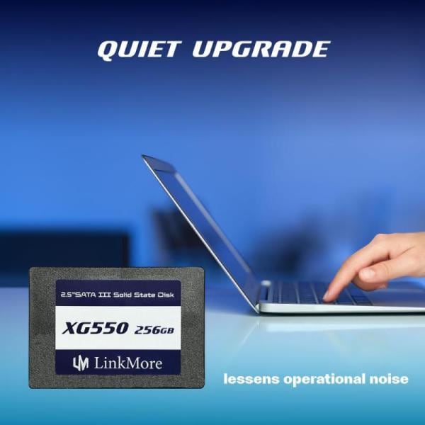 LinkMore XG550 256GB 2.5インチ 内蔵SSD SATAIII 6Gb/s (読込最大