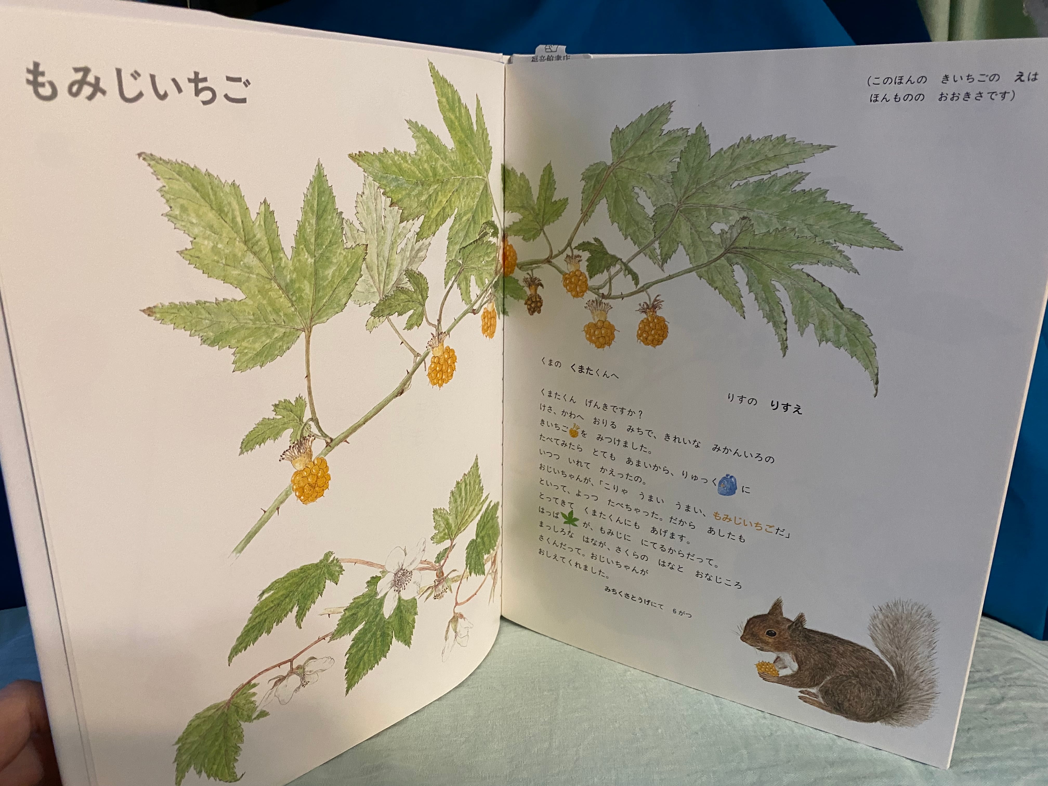 ブ*ー様 いちごえほん 5冊セット きいちごだより | Pay ID